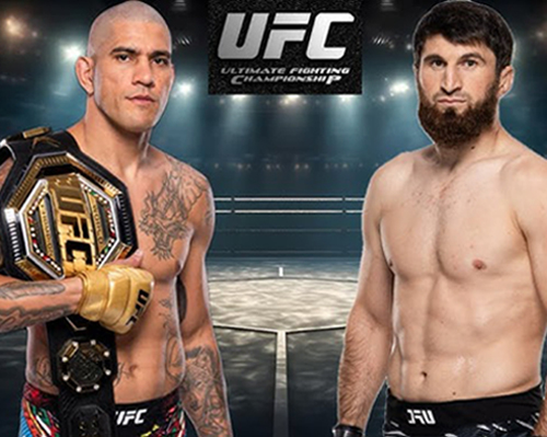 Ankalaev vs. Pereira: Dari Rivalitas Sengit Menuju Babak Baru di UFC